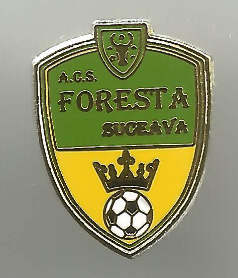 Pin ACS Foresta Suceava